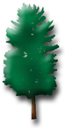 Pine Tree Syndicate